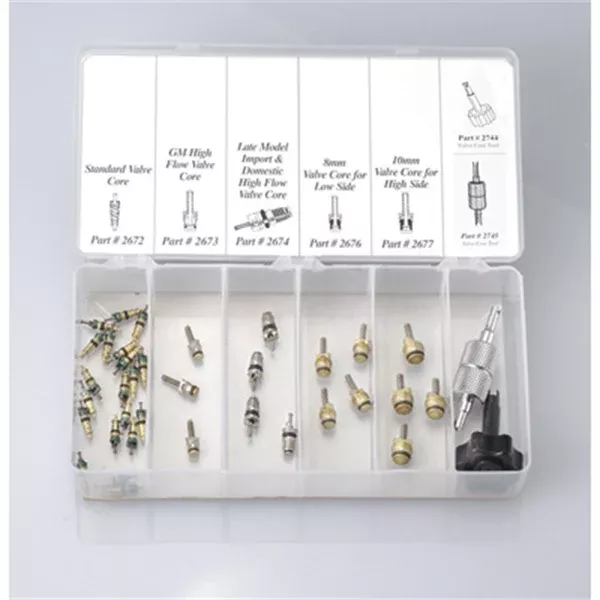 Valve Core Assortment W/Tools